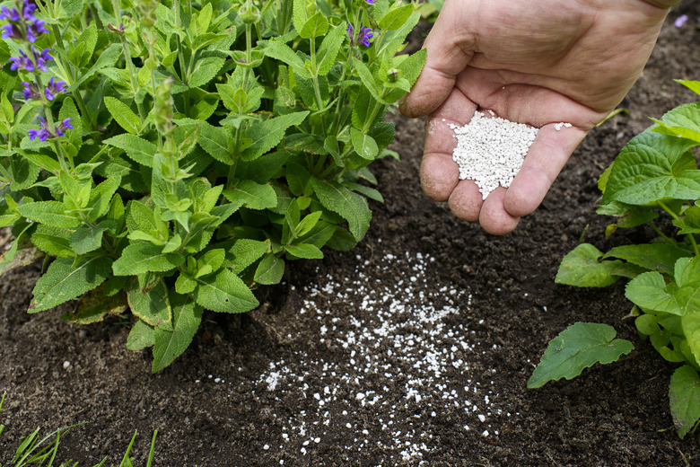 Fertilizer for the garden