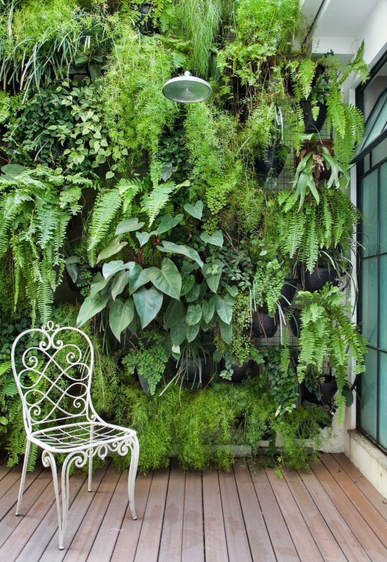 vertical garden on small deck