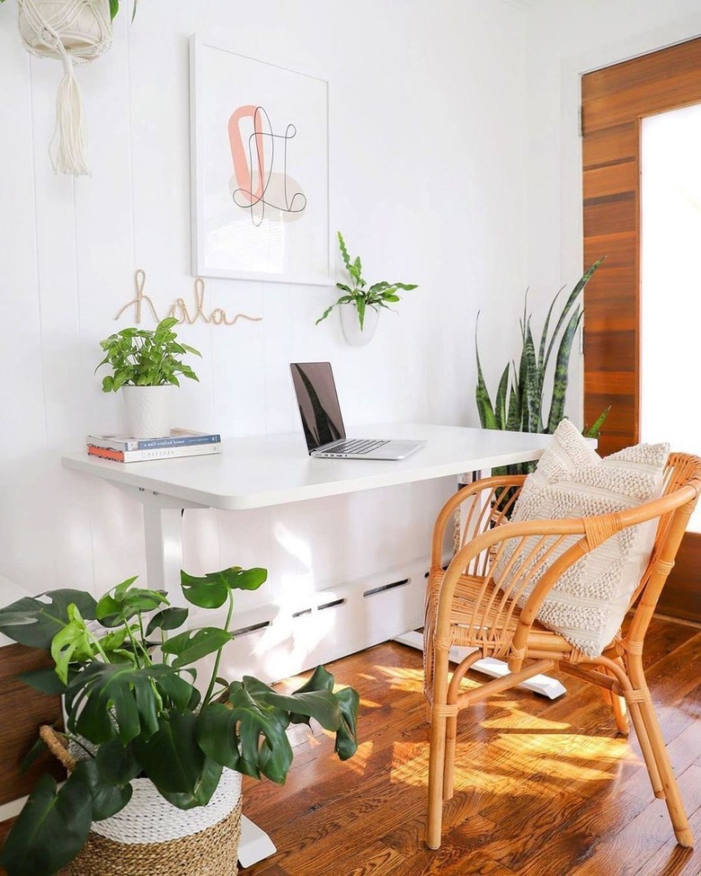 FlexiSpot standing desk