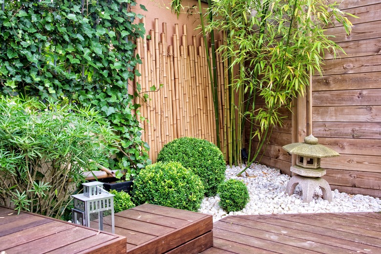 Japanese garden with bamboos and stone lantern