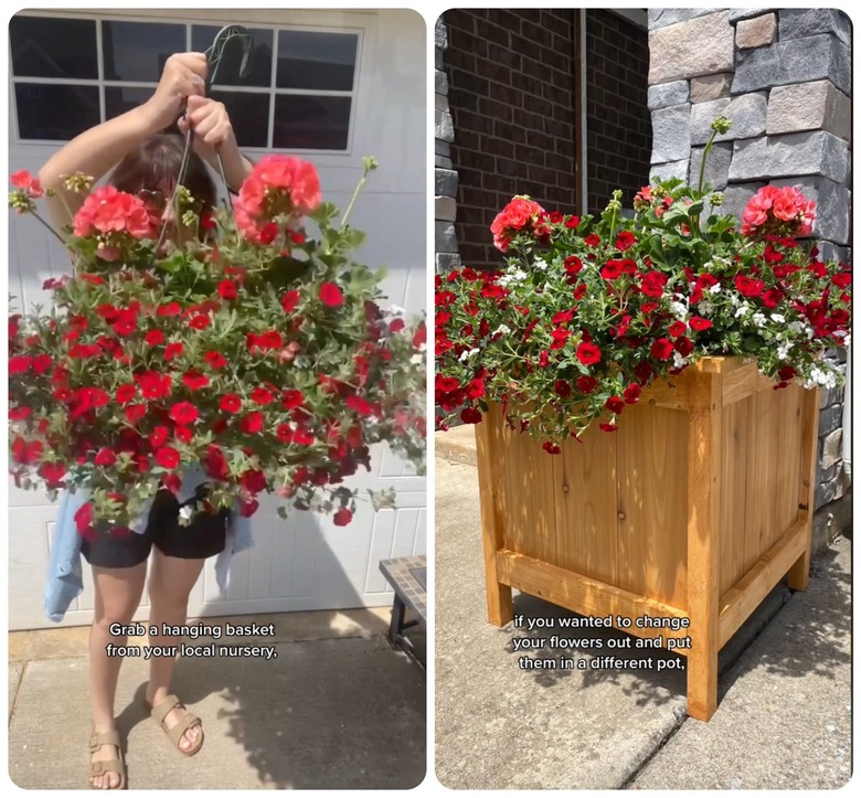 A split screen of a person holding up a hanging basket full of pink flowers and placing it into a wooden planter box.