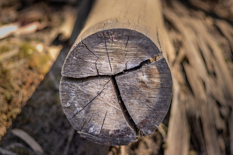 landscape timbers