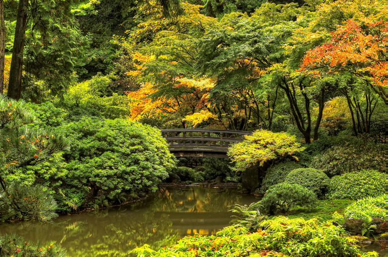 Bridge in fall setting