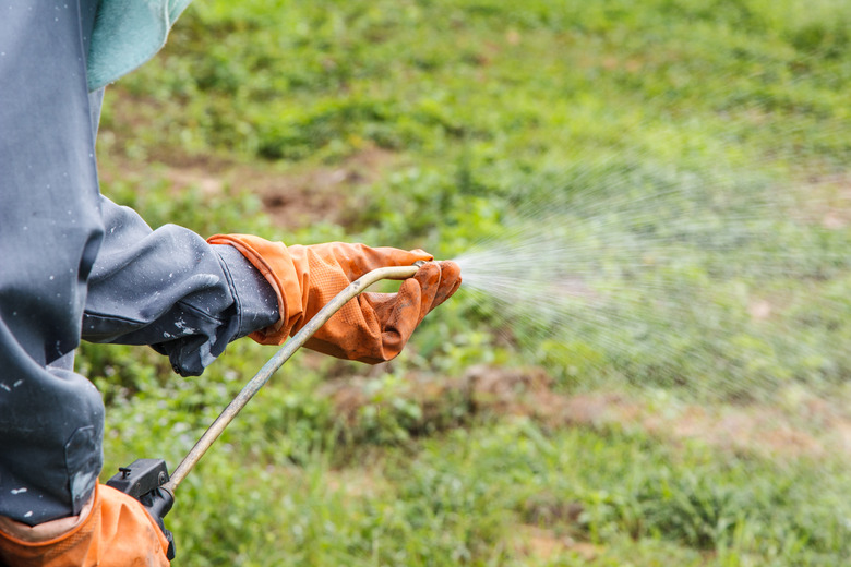 Man is spraying herbicide