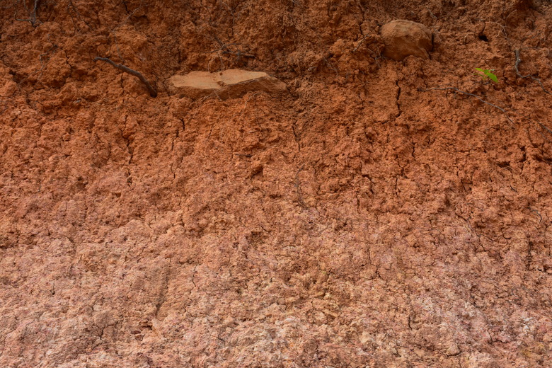 Soil on the ground as texture and background.