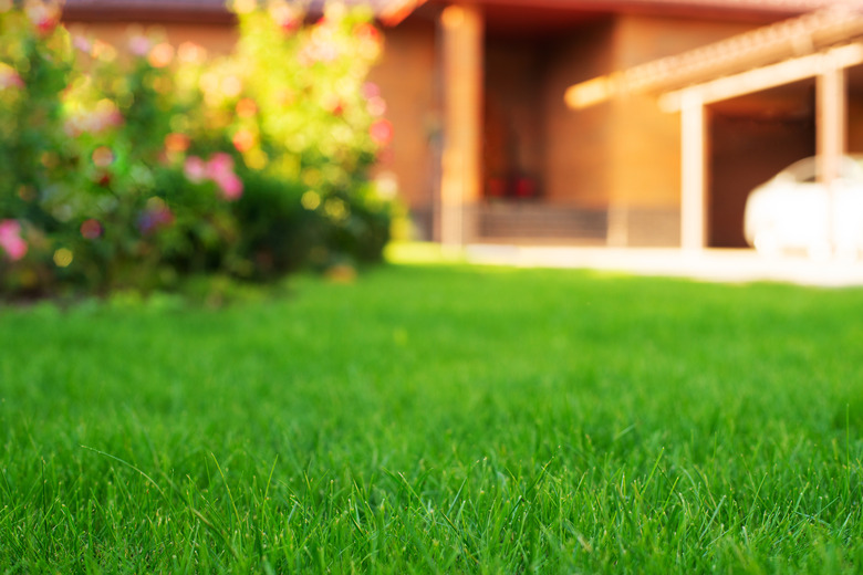 Mowed green front yard grass and residential suburban house on a sunny summer day.