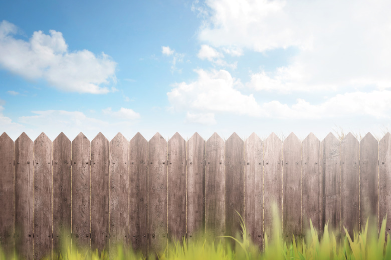 Wooden fence on green garden