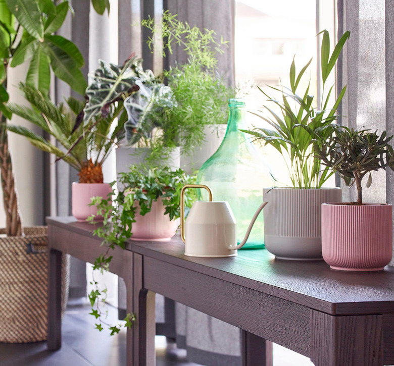 ikea plants and pots