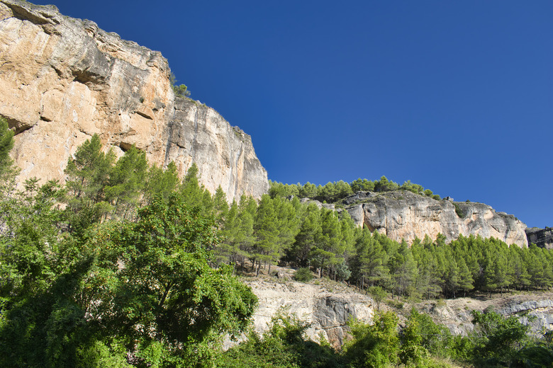 Pine trees and mountain wall in the Sierra de Cuenca