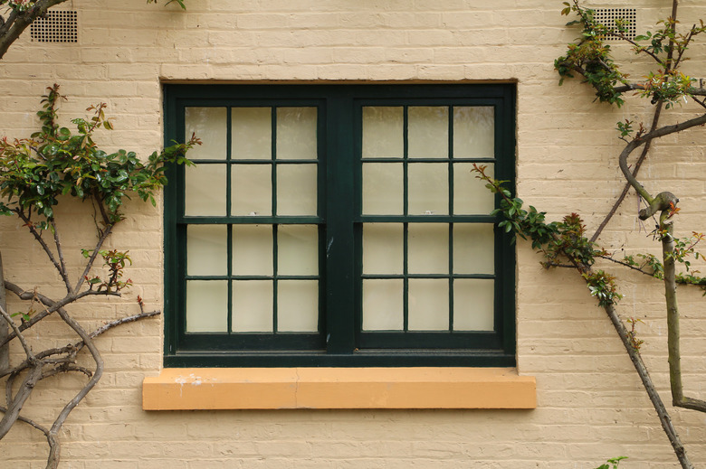 Dark-framed double window with vines.