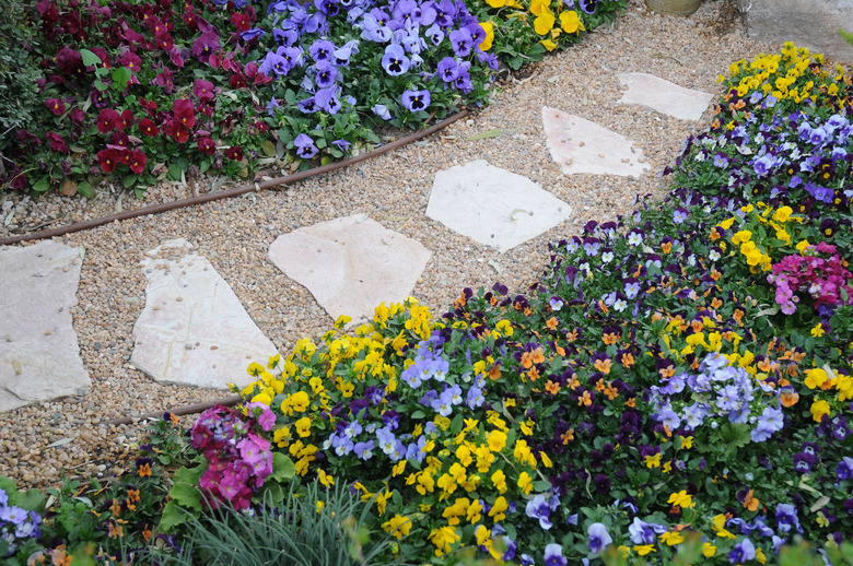 The walkway at a botanical garden