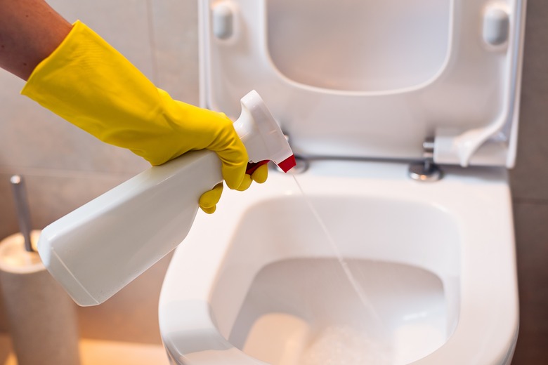 cleaning toilet with spray antibacterial detergent