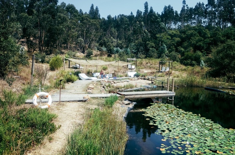 a small swimming hole with a dock, a sunbathing area, and water lilies