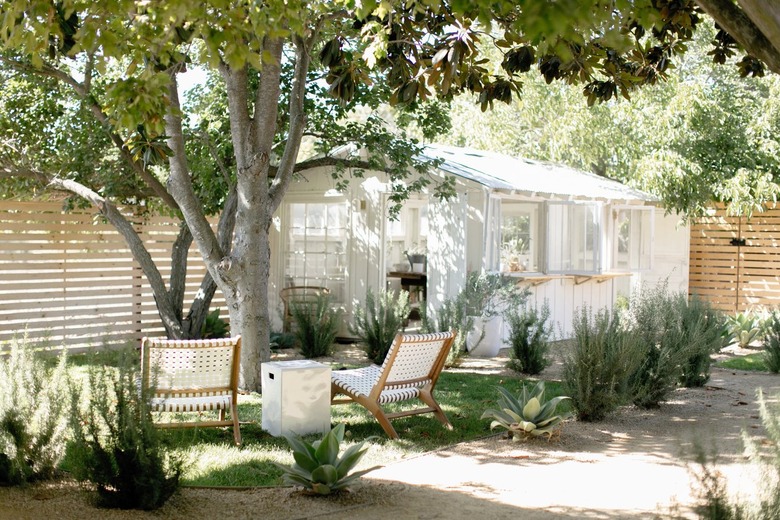 lounge chairs and side table positioned under large tree in backyard