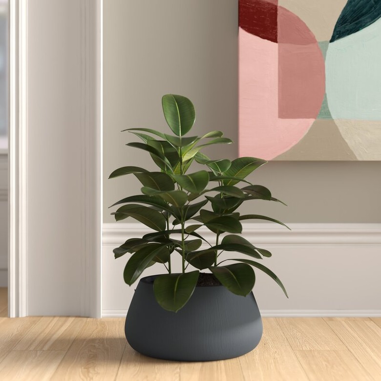 minimalist floor planter