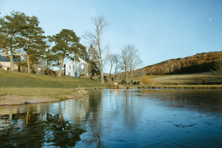 A lake with a house surrounded by trees