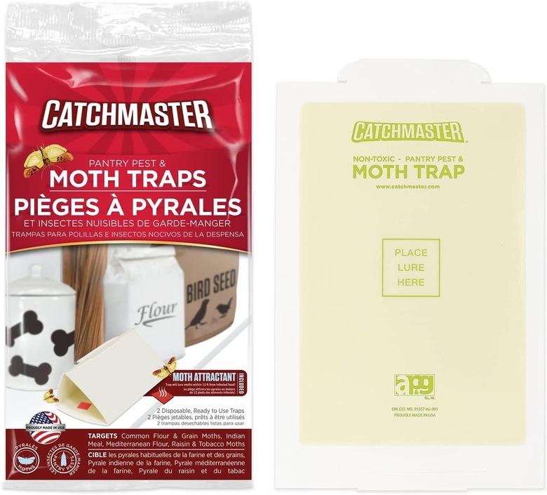 moth trap