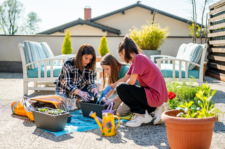 Adult woman and two young girls planting on the terrace