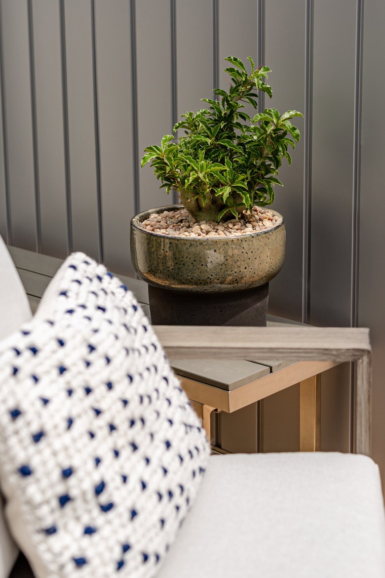 close-up of pillow on chair and plant sitting on bench