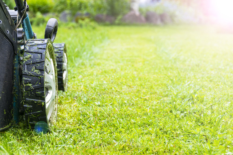 Mowing lawns, Lawn mower on green grass, mower grass equipment, mowing gardener care work tool, close up view, sunny day. Soft lighting