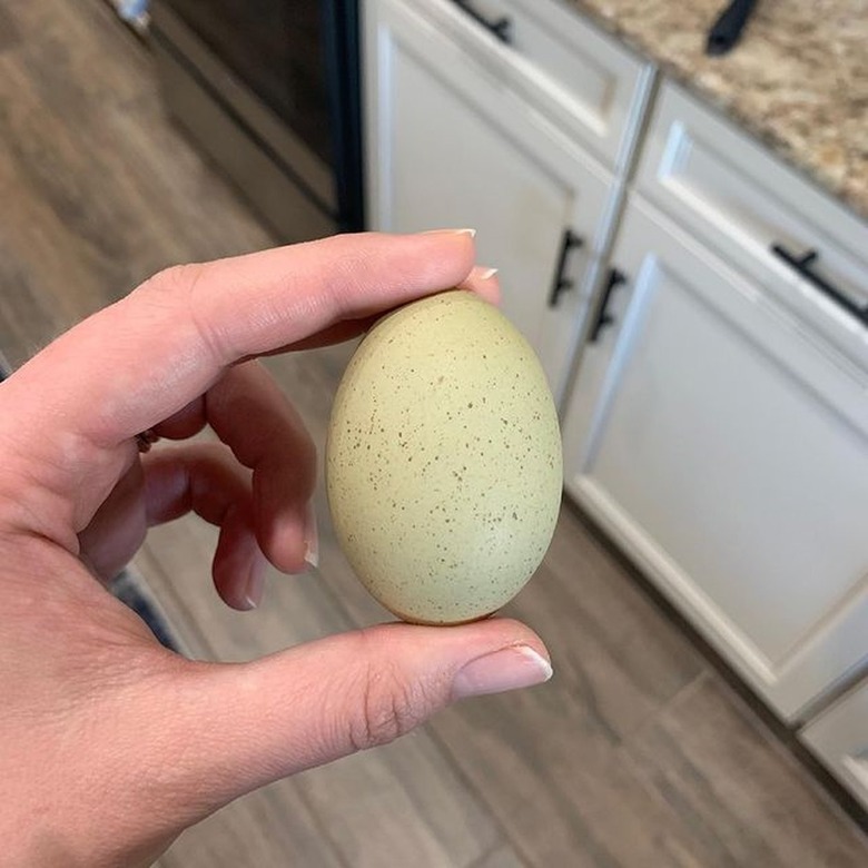 green egg in person's hand