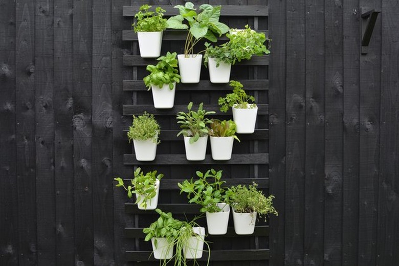 diy vertical garden