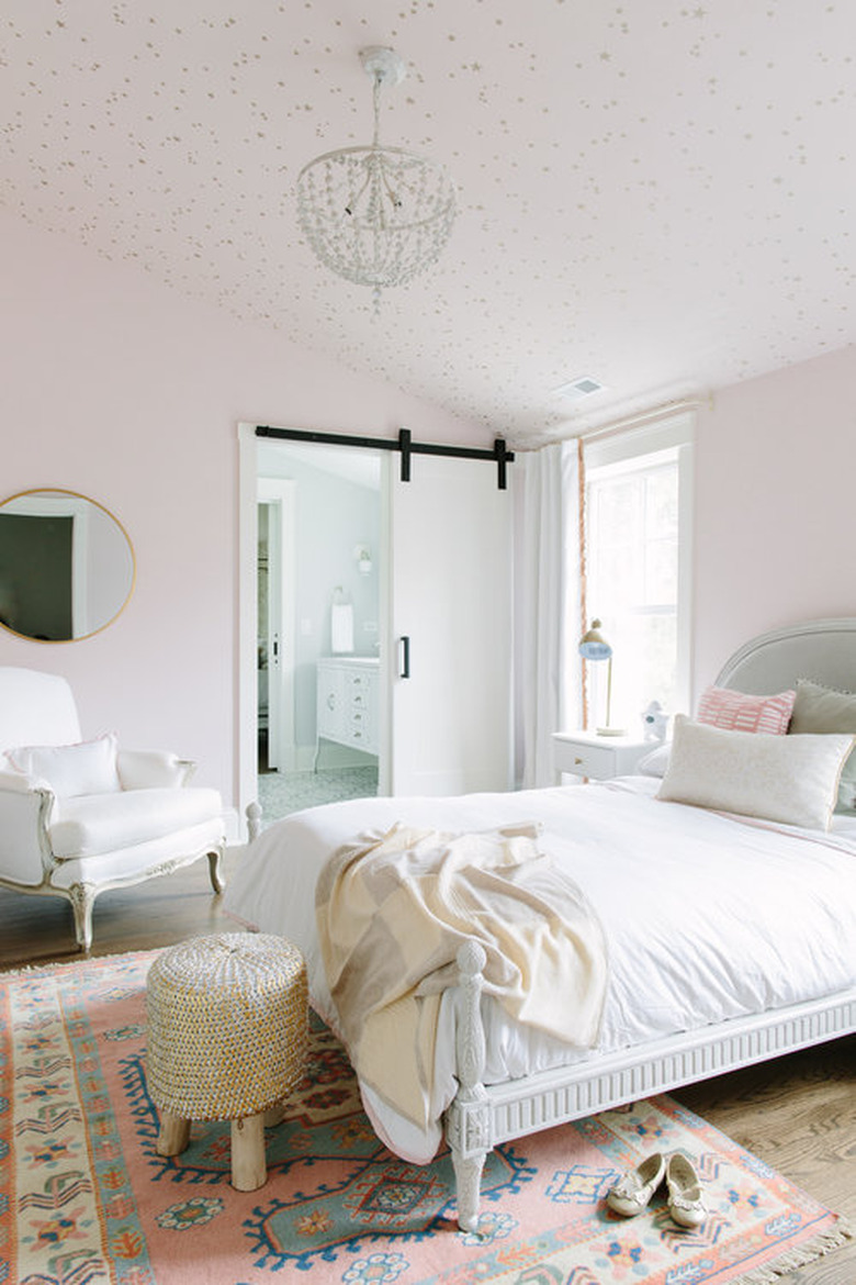 pale pink bedroom with area rug and barn style door