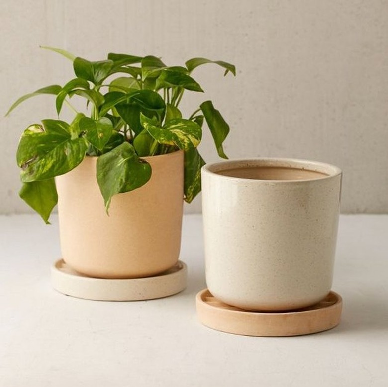 best places to shop for planters