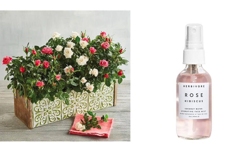 roses, gift, spray