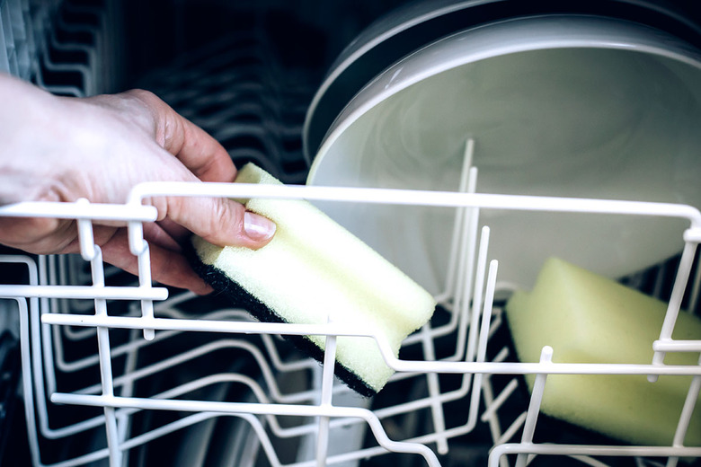 sponge in dishwasher