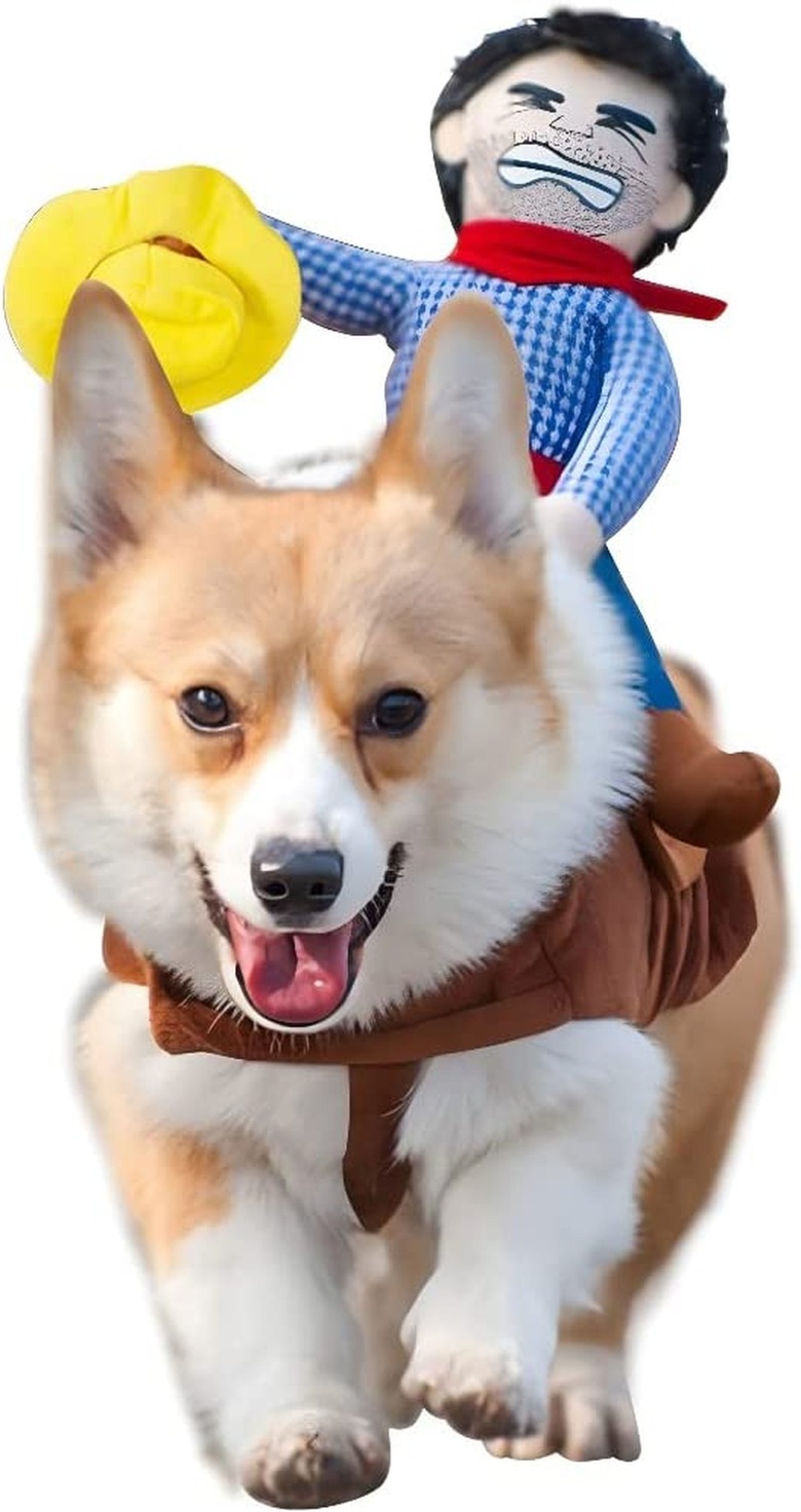 Delifur Cowboy Pet Costume