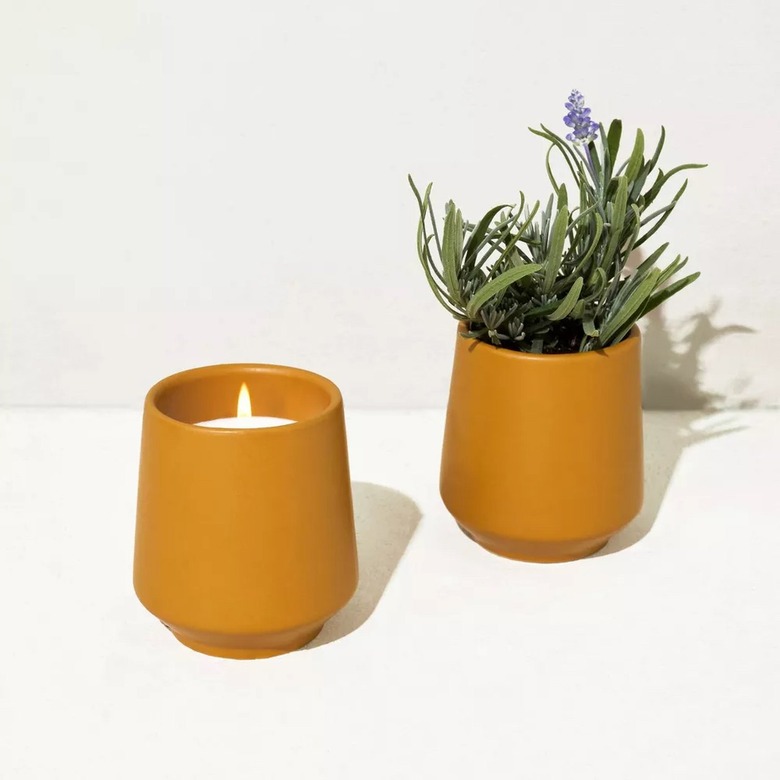 Modern Sprout Rooted Candle