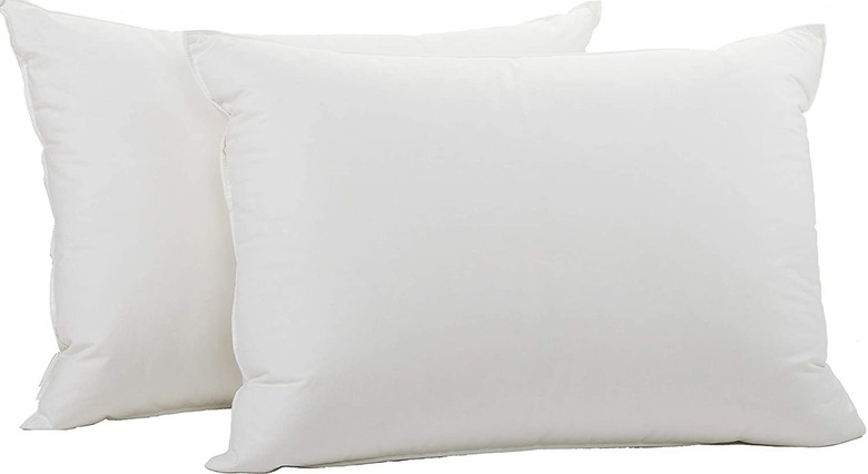 Coyuchi Down Pillow Insert