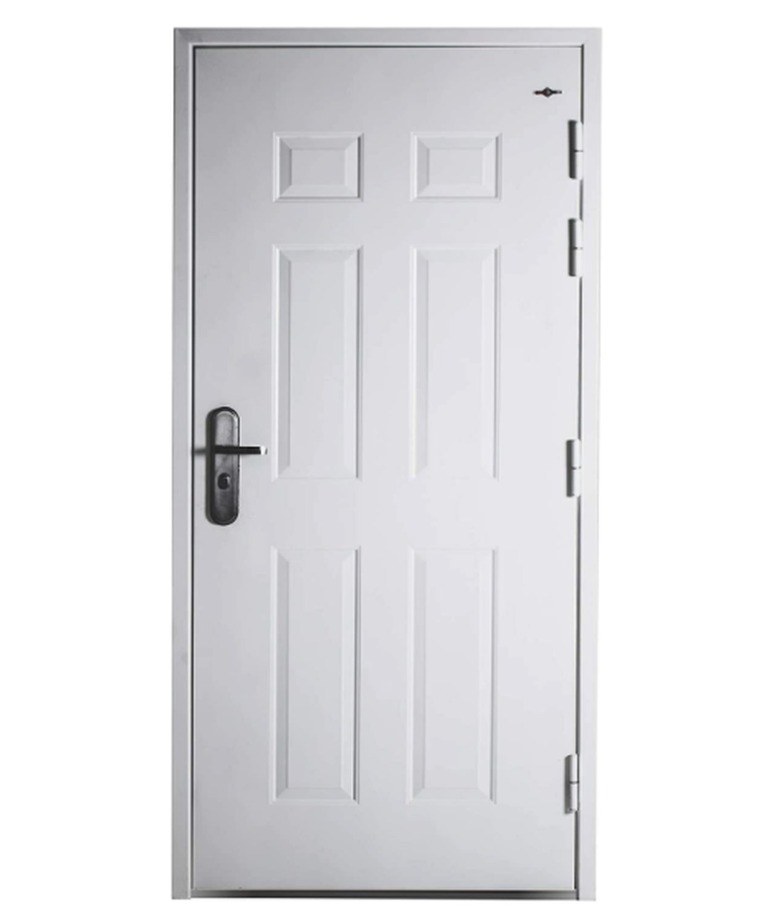 Viz-Pro Quick Mount Steel Security Door