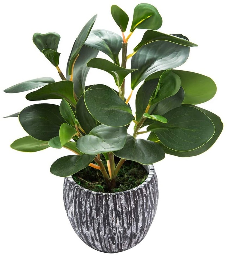 AlphaAcc Artificial Plant