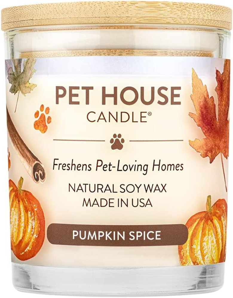 One Fur All Pumpkin Spice Pet House Candle