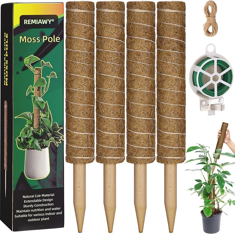 REMIAWY Moss Poles (4-Pack)