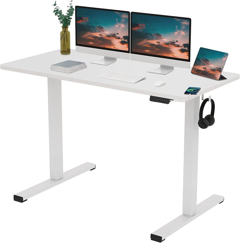 FLEXISPOT Electric Stand Up Desk