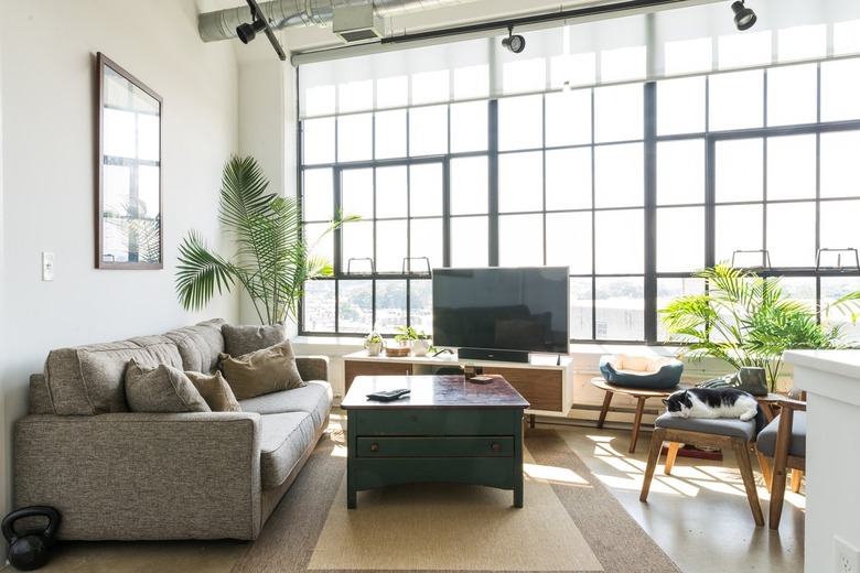 Bright living room with black paned windows, tv, palm plants, gray sofa, square wood coffee table, and beige rug.