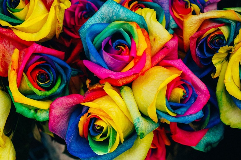 A bouquet of rainbow roses