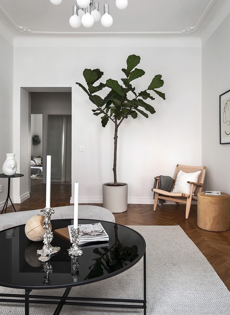 Scandinavian living room idea with eclectic decor and fiddle leaf fig tree