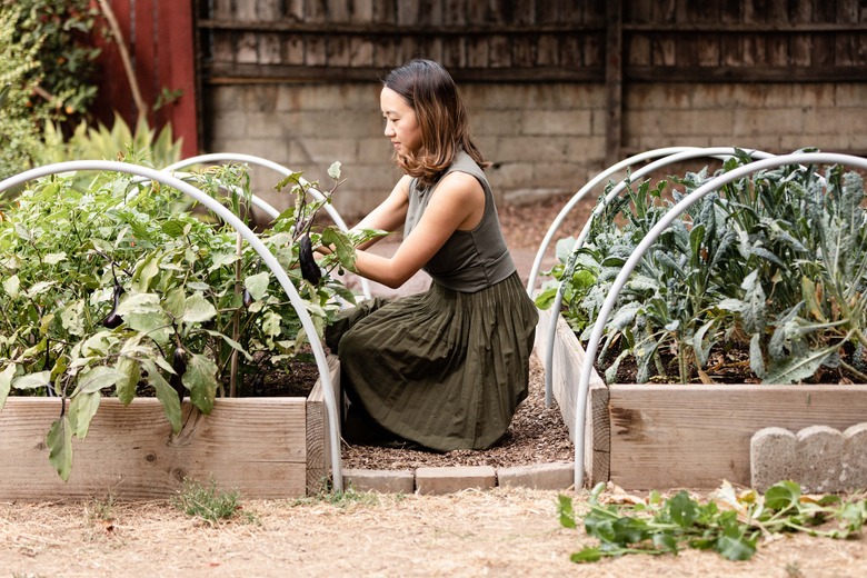 Woman tending to her vegetable garden