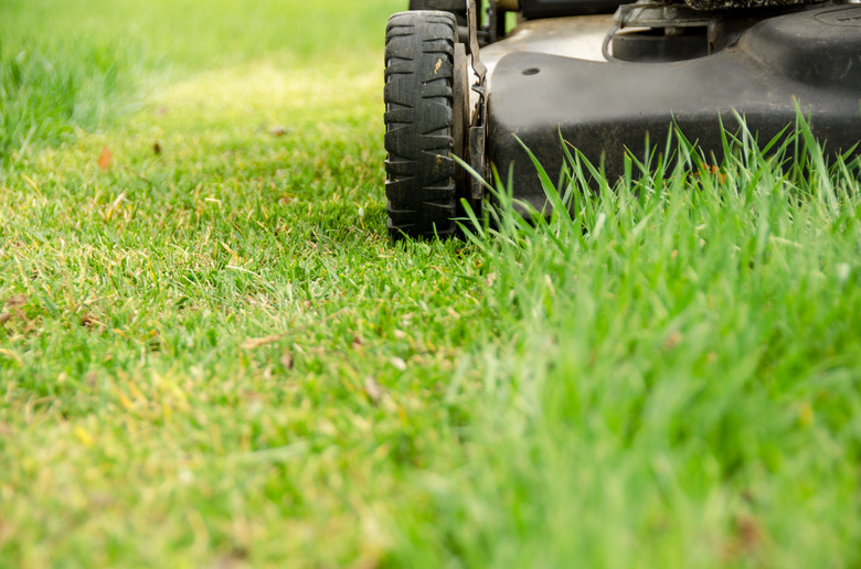 Lawn Mower and Spring Mowing