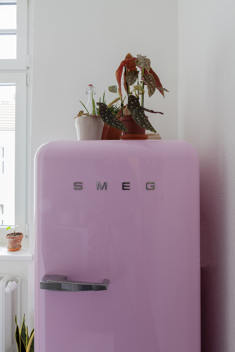 pink Smeg refrigerator with plants on the top