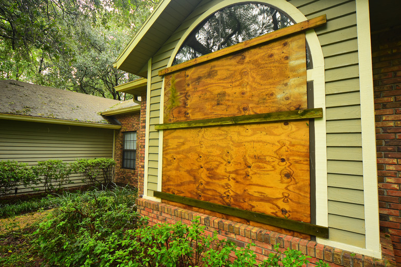 Plywood covering wide windows in forested area