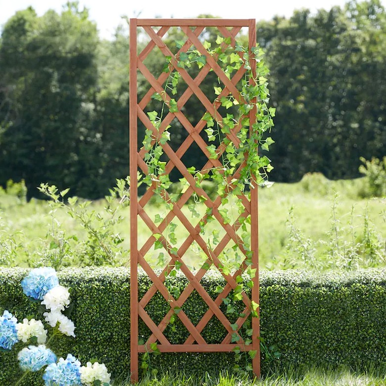 trellis with greenery in outdoor space near blue and white flowers