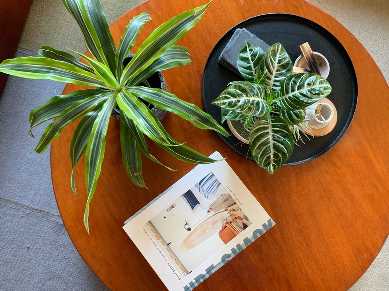 Coffee table with plants and Surf Shack book