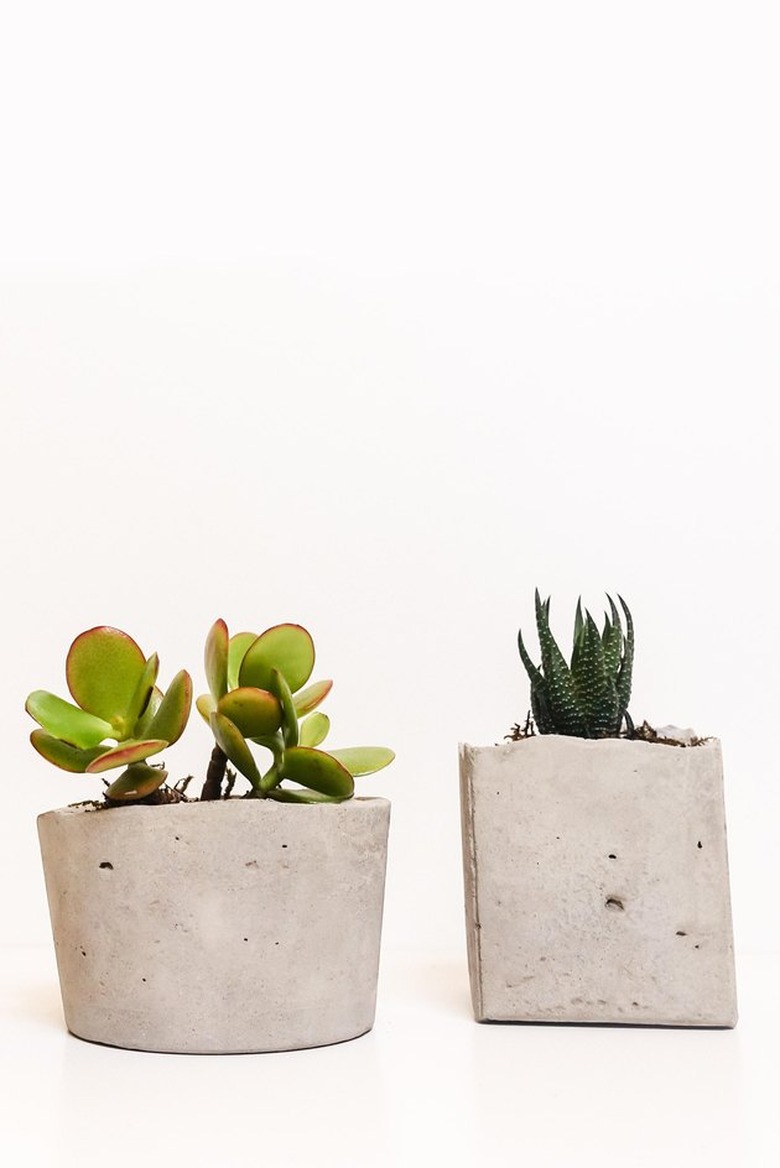 DIY concrete planters