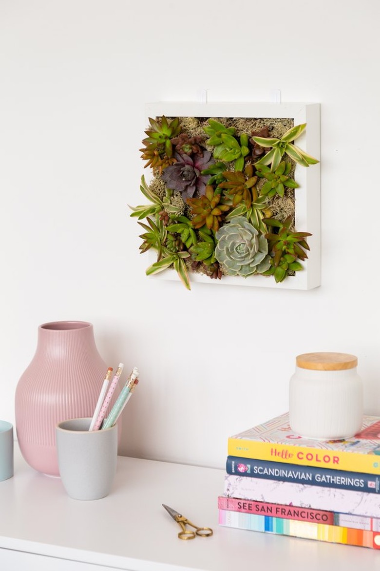 DIY wall planter