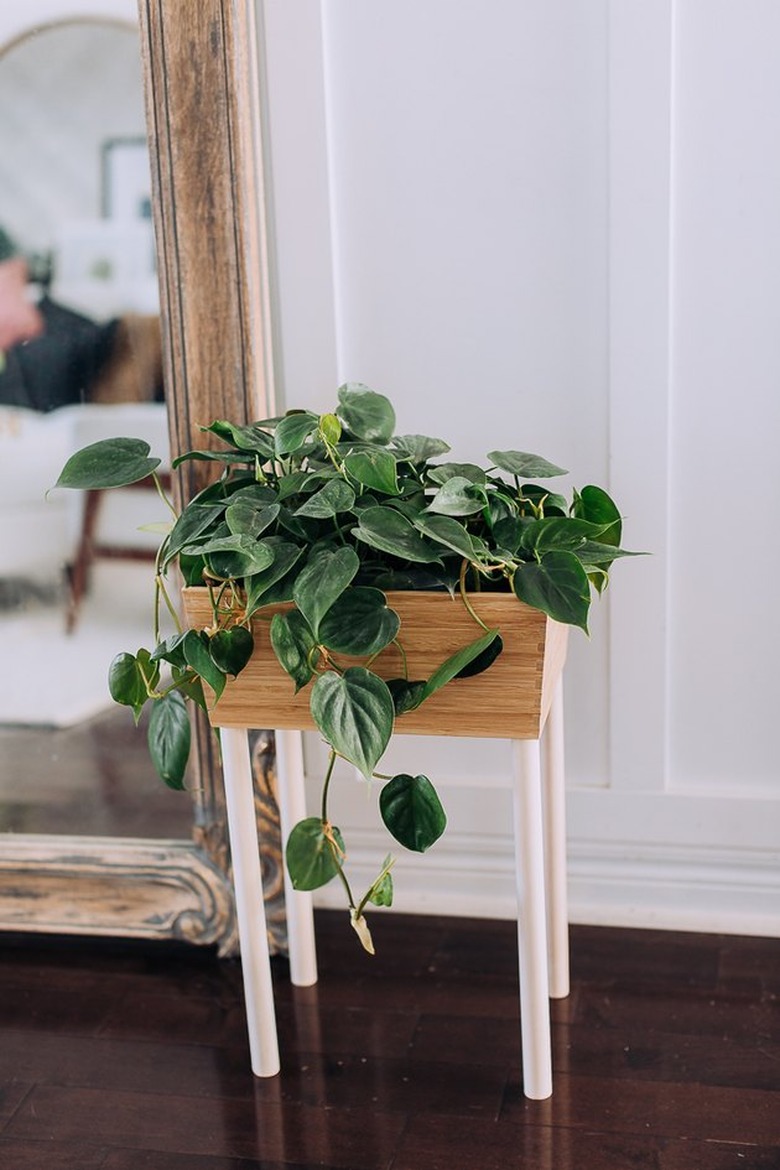 DIY box planter